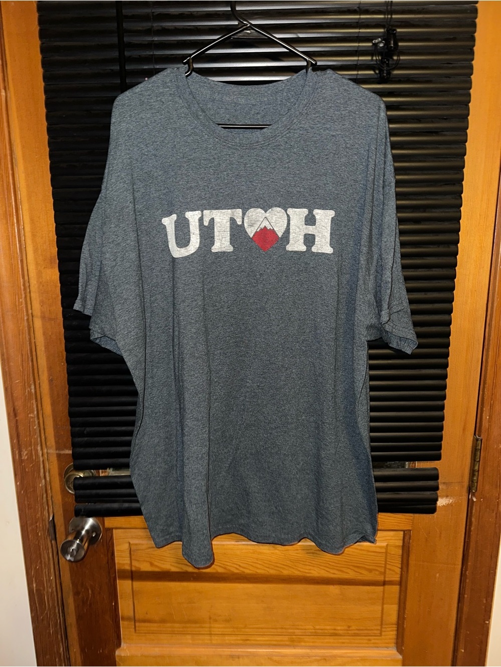 Utah Graphic Tee with Heart Mountain 3x Mens style